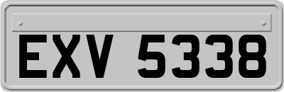 EXV5338