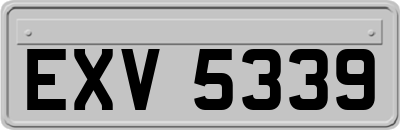 EXV5339