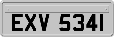 EXV5341