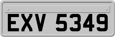 EXV5349