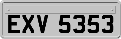 EXV5353