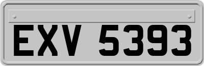 EXV5393