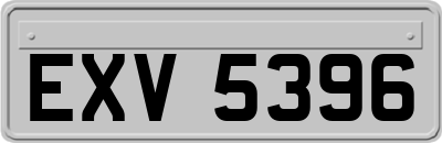 EXV5396