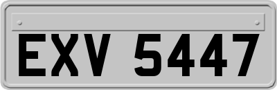 EXV5447
