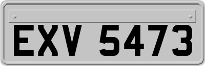 EXV5473