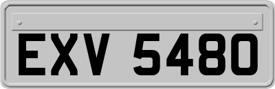 EXV5480