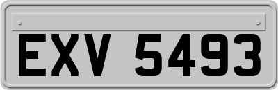 EXV5493