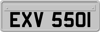 EXV5501