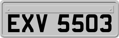 EXV5503