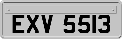 EXV5513