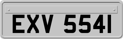 EXV5541