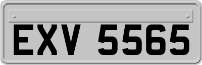 EXV5565