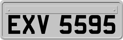 EXV5595