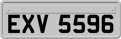 EXV5596