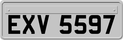 EXV5597