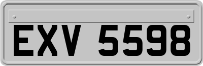 EXV5598
