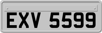 EXV5599
