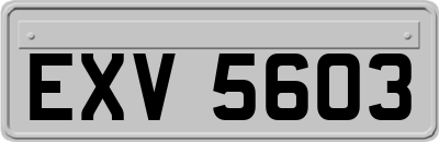 EXV5603