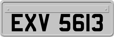 EXV5613