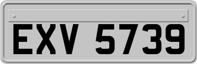 EXV5739