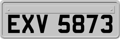 EXV5873