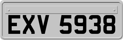 EXV5938