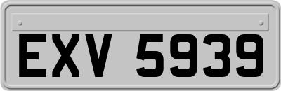 EXV5939