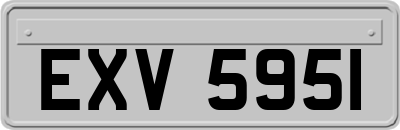 EXV5951