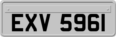 EXV5961
