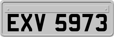 EXV5973