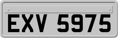 EXV5975