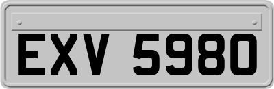 EXV5980