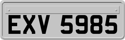 EXV5985