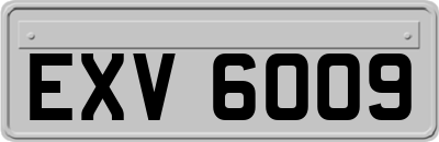 EXV6009