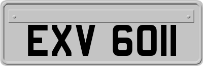 EXV6011