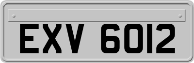 EXV6012