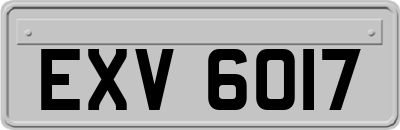 EXV6017
