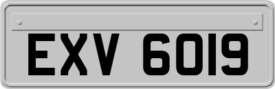 EXV6019