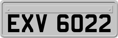 EXV6022