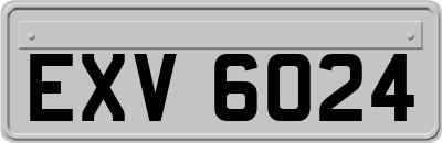 EXV6024