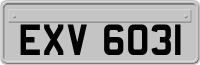 EXV6031