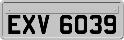 EXV6039
