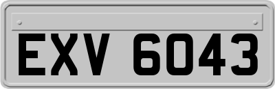 EXV6043