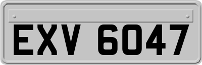 EXV6047