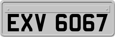 EXV6067