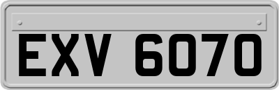 EXV6070