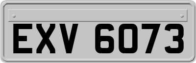 EXV6073