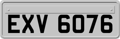 EXV6076