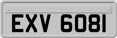 EXV6081