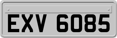 EXV6085